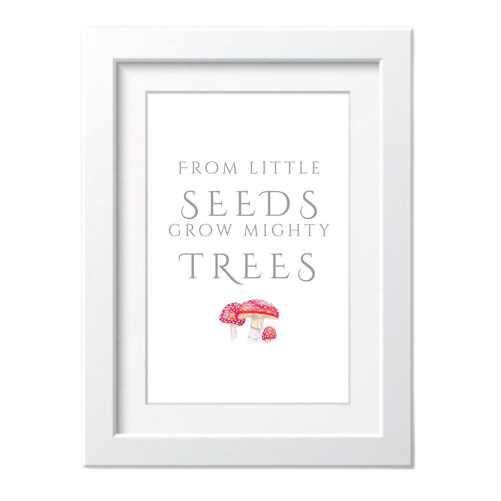 Thumbnail: From Little Seeds
