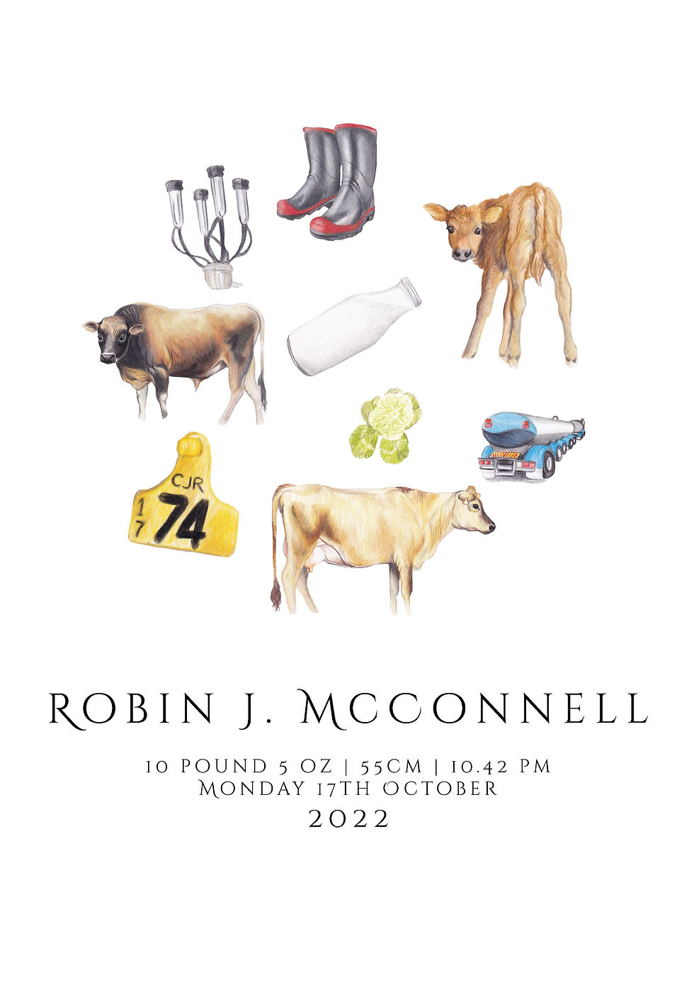 personalised nursery print of dairy nz farming jersey cows