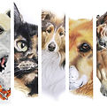 pet portraits by Sally McConnell