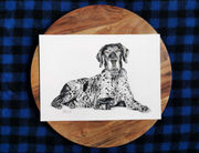 drawing by nz artist Sally McConnell