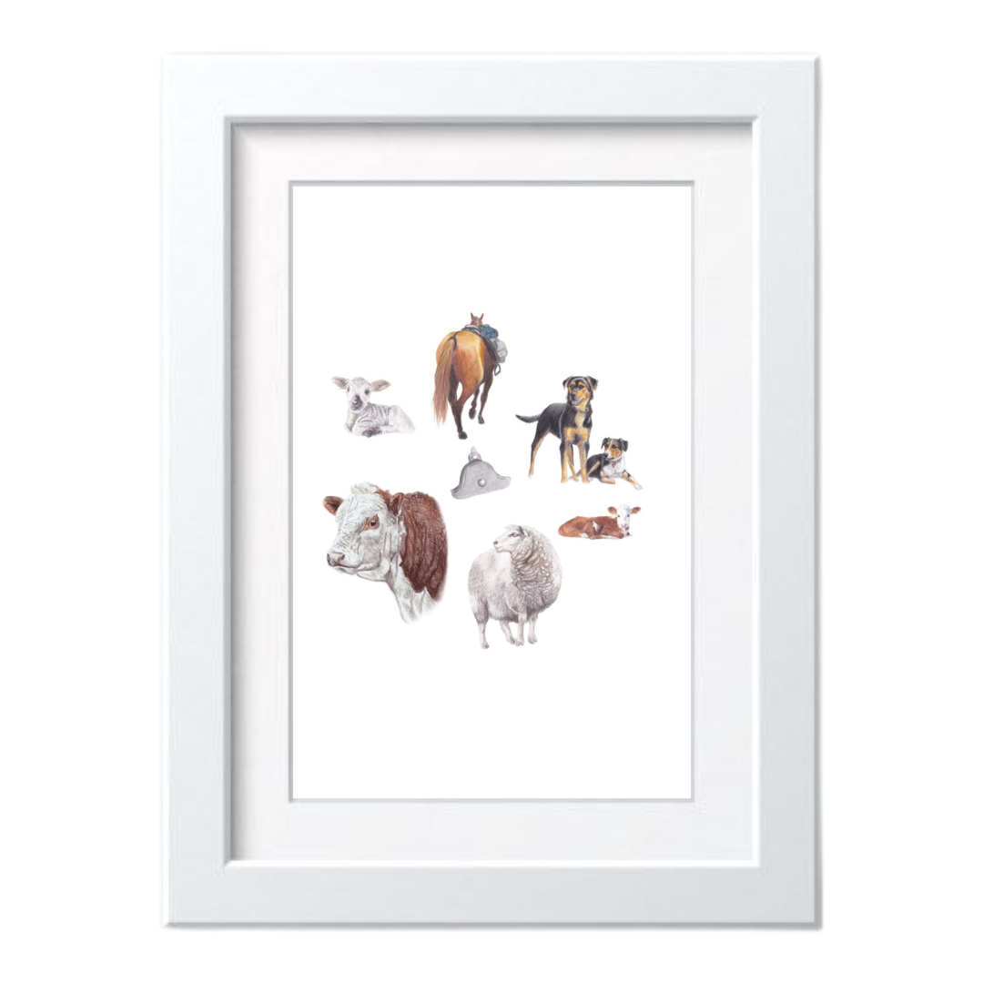 sheep and beef farming art work by nz artist sally mcconnell