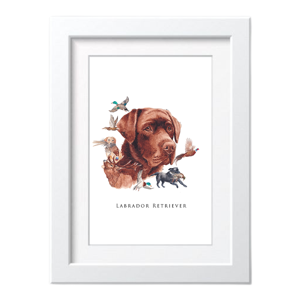 labrador retriever gun dog by sally mcconnell