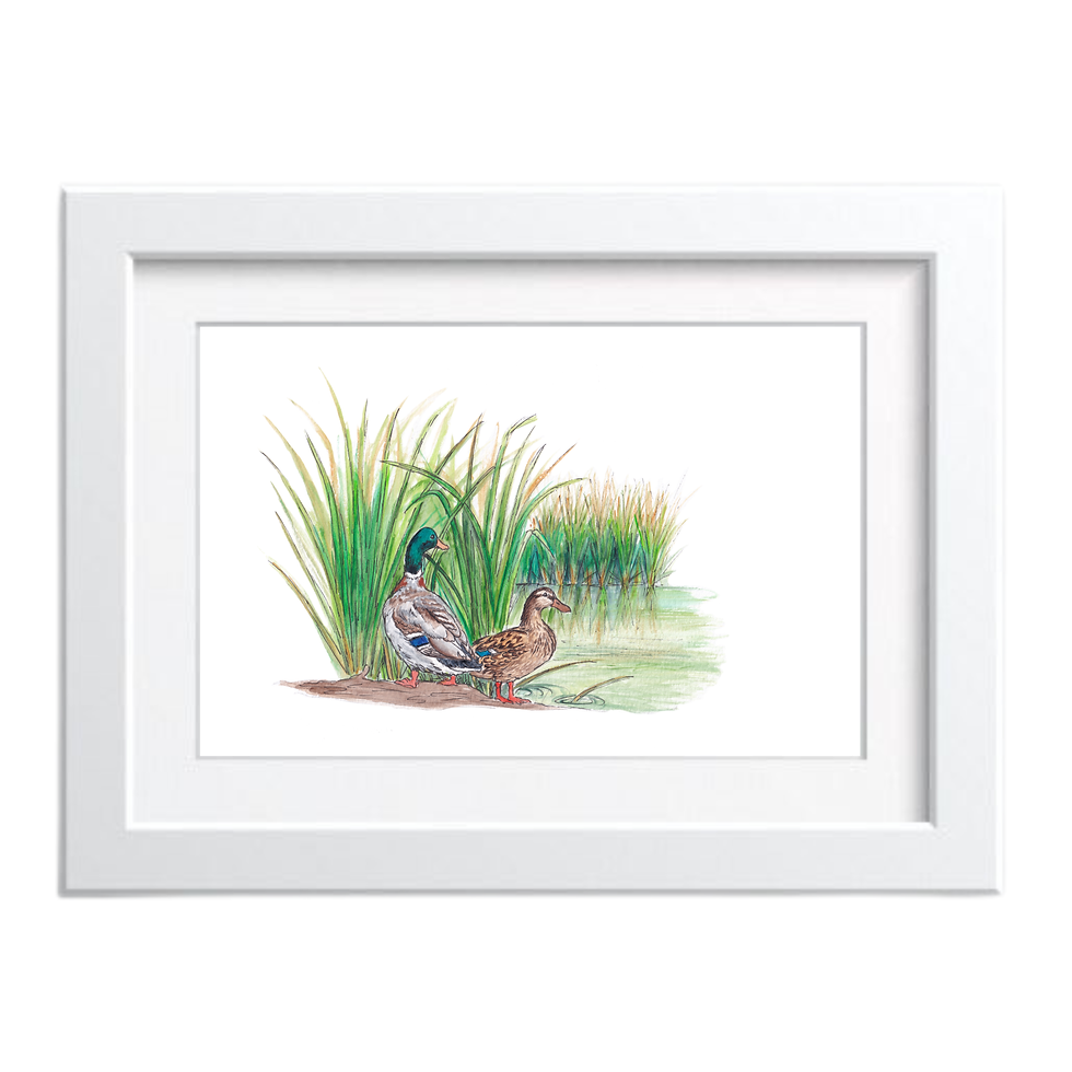 duck pond water painting