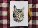 Cat drawing, cat portrait