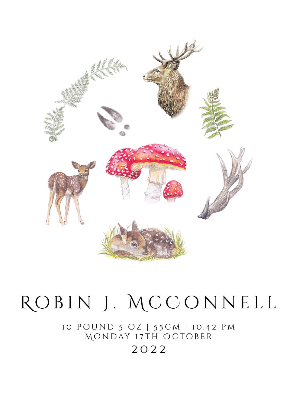 personalised nursery print nz hunting drawing of fawns