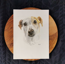 IMG_20220616_093045.jpg