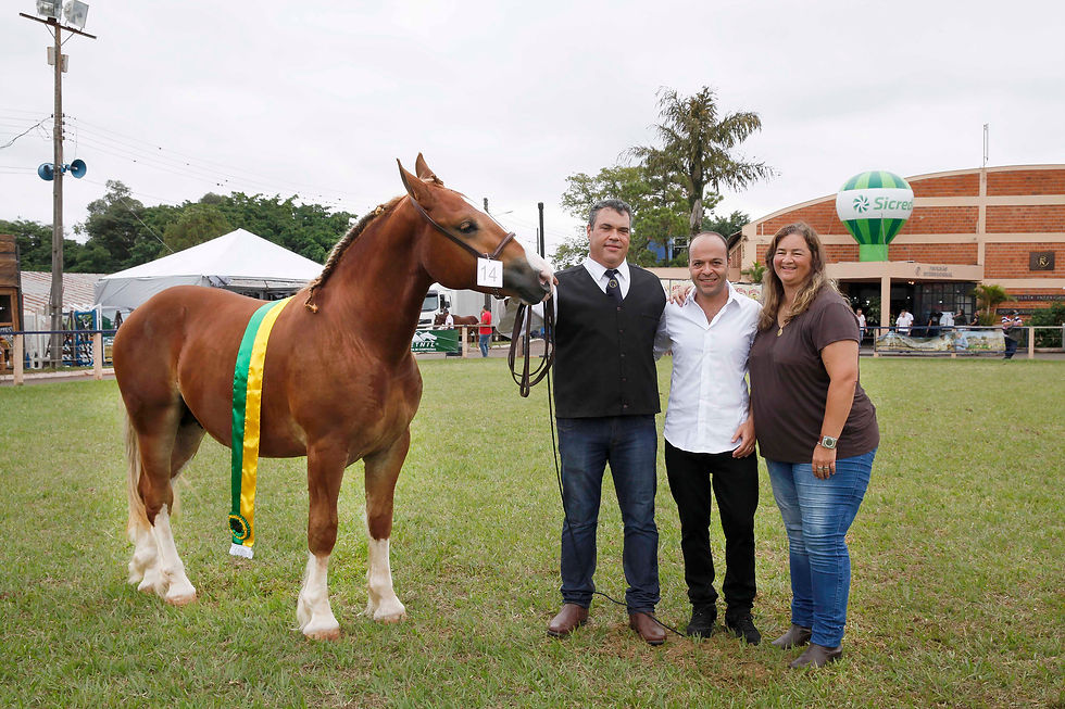 Fest Noz do Rancho K