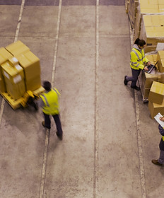 Fangsbag-Manufactured origins and logistics