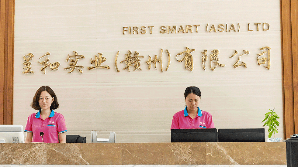 Fangsbag-FIRST SMART (ASIA) LTD.-handbag manufacturer-production line