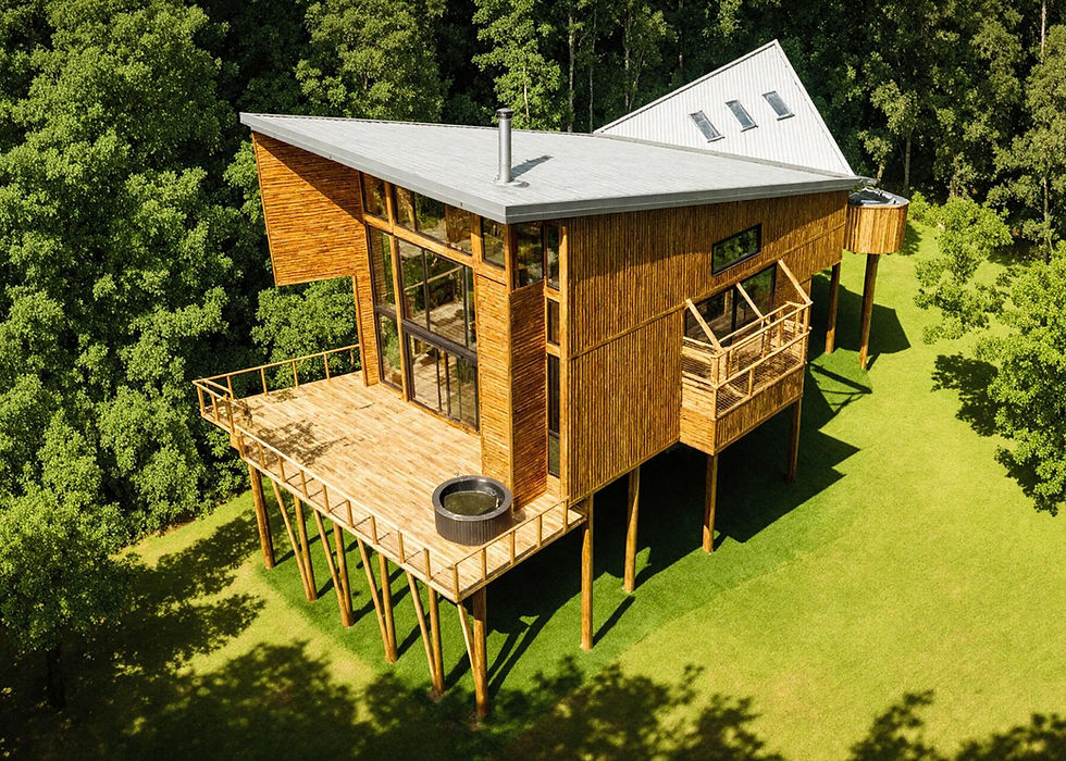 casa muller_render 2