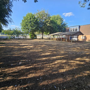 Pond Infill, Alton