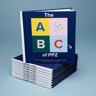 ABCs%20of%20PPZ_edited.jpg