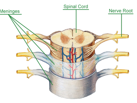 Can NRCT Help With Neurological Disorders?