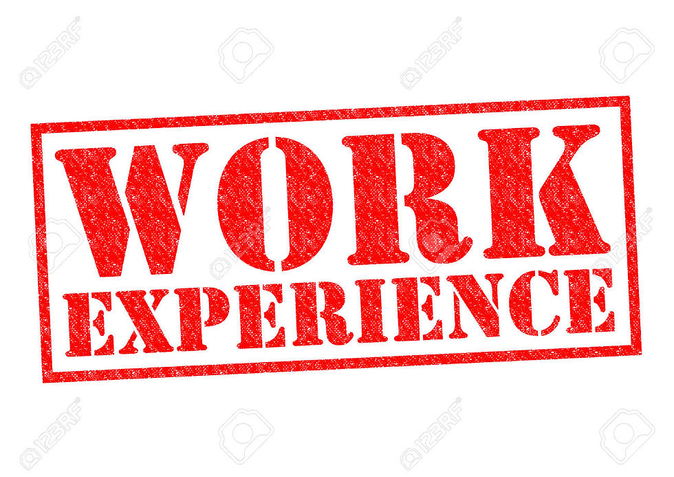 Work Experience TY/LCA