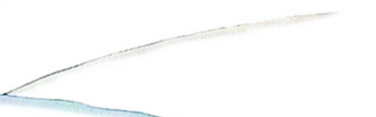 85643_essentiels-le-petit-prince-figure-spirituelle_edited.png