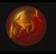 dernière semaine.jpg