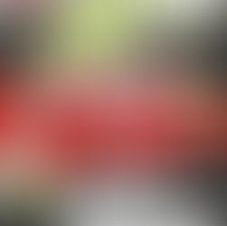 1. Drechslerei Schmiedel - Cup steht vor der Tür