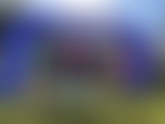 Goldrausch am Kottmar