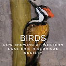 Dietsch Bird.jpg