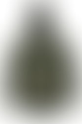 Advice and Tips for Kitting-out the Budding Ecologist – Week #1: Waterproof Clothing