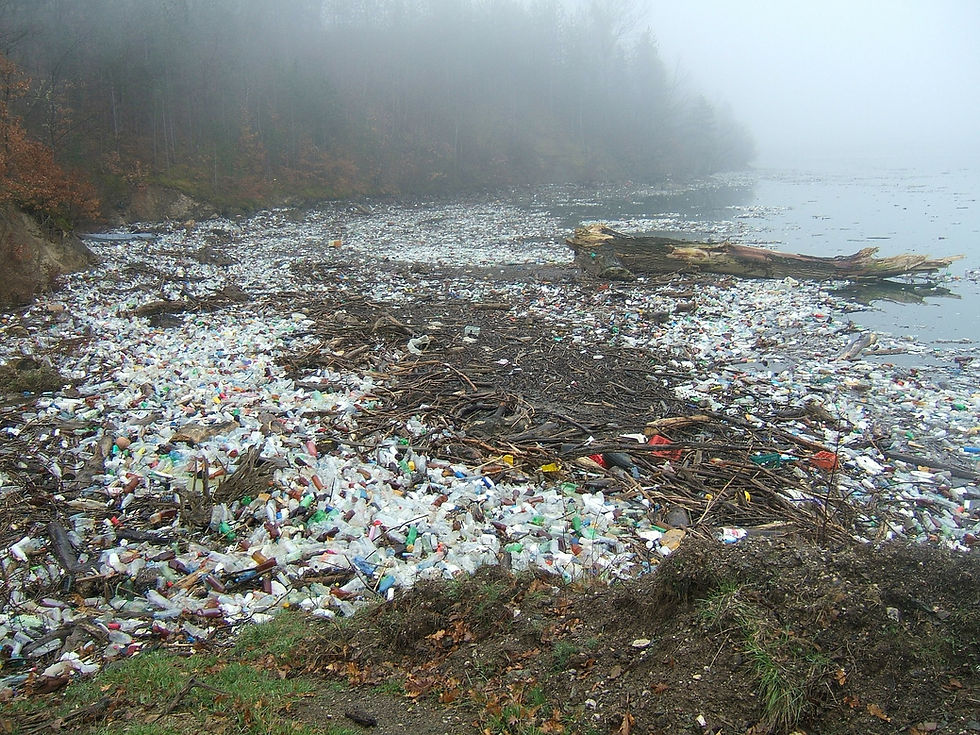 Plastic Beach 1