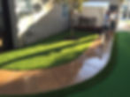 synthetic grass home pathway