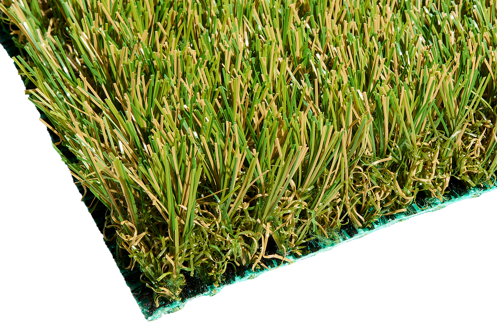 SYNRye 246 (12"x12")