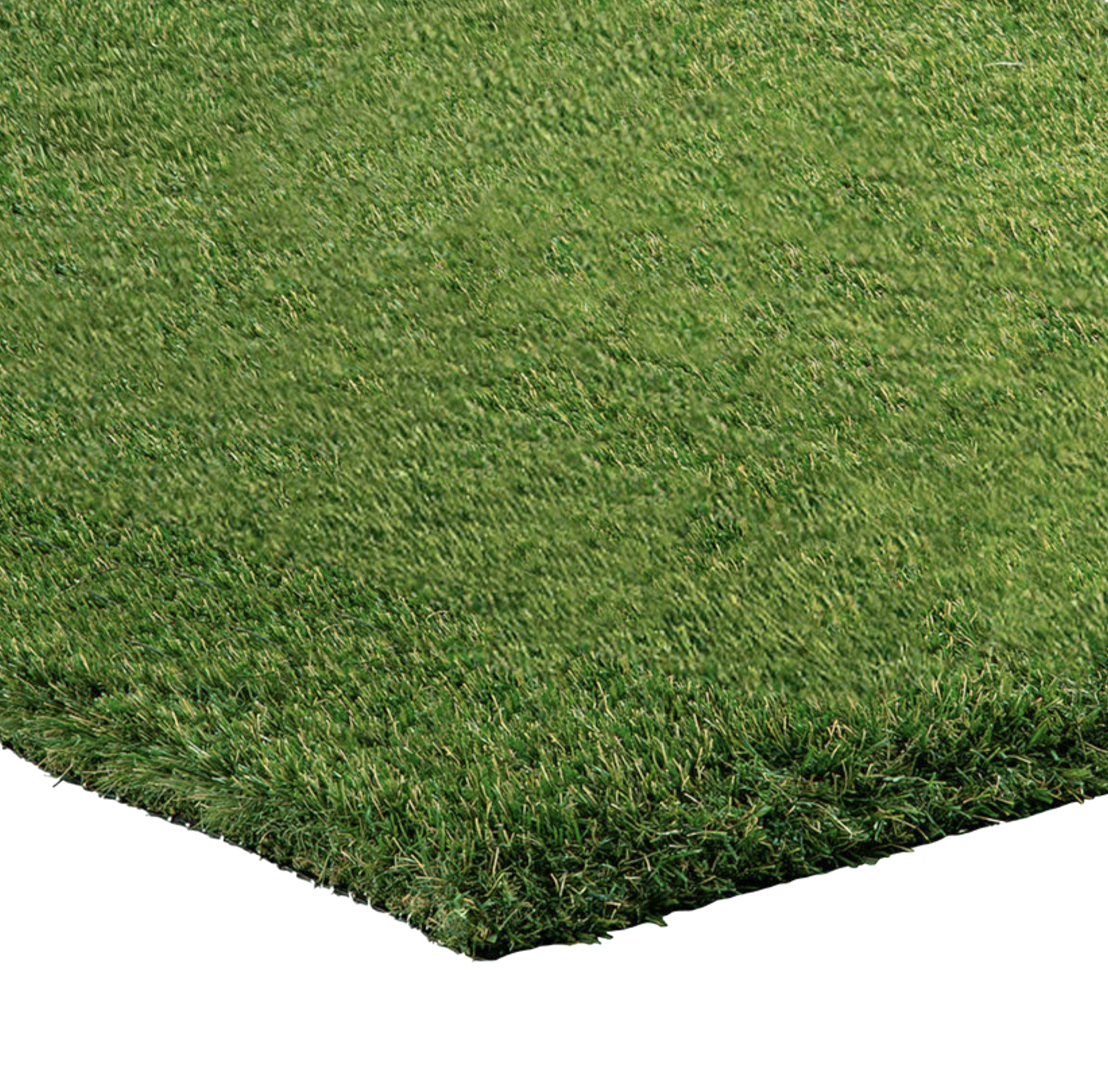 RhinoTurf® Fescue Spring Fusion (12" x 12")
