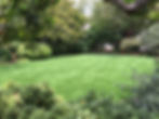 synthetic grass brand ventura county