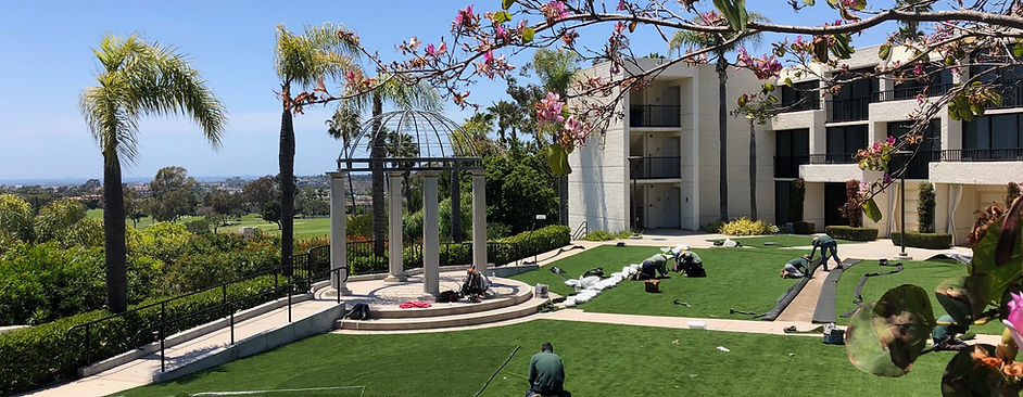Hotel Artificial Grass