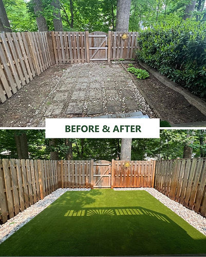 Before and After transformation