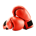 A pair of boxing gloves.