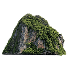 A mountain peak adorned with trees.