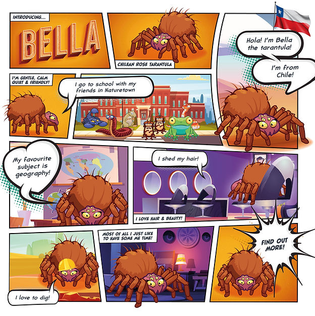 A comic strip showing Bella the Chilean rose tarantulas personality and interests.