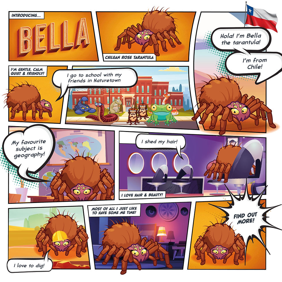 A comic strip showing Bella the Chilean rose tarantulas personality and interests.