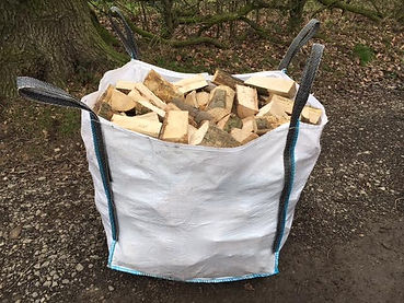 logs 2.jpg