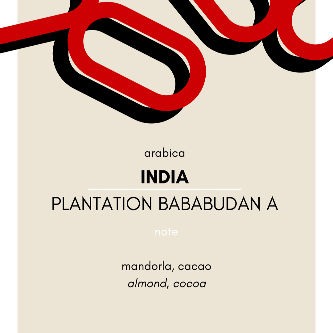 India Plantation Bababudan A | 250g medium