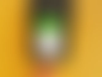 𝗯𝗿𝗮𝘀𝗶𝗹𝗲 𝘀𝗮𝗻𝘁𝗼𝘀 𝗰𝗲𝗿𝗿𝗮𝗱𝗼 𝗱𝘂𝗹𝗰𝗲