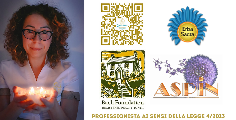 PROFESSIONISTA AI SENSI DELLA LEGGE 42013.png