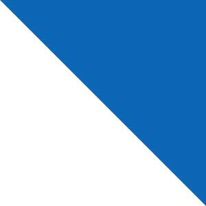Maslow Realty blue triangle design element
