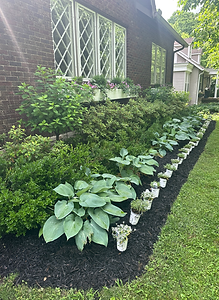 Lenora’s 5_12_25.HEIC