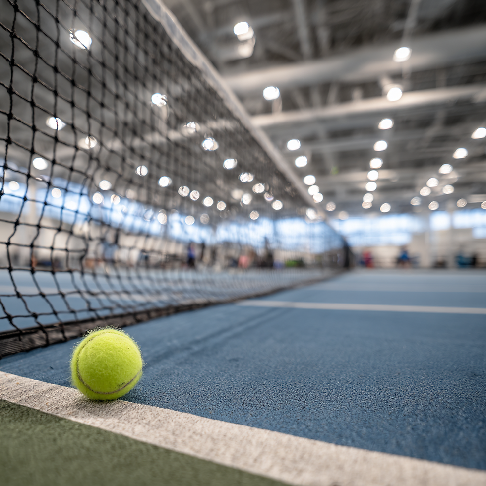 Tennis Sports Netting