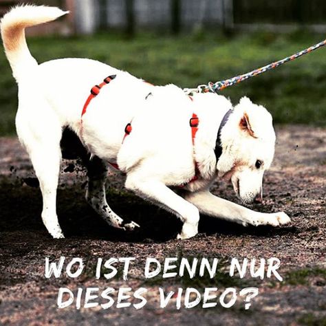 Jetzt auch auf YouTube