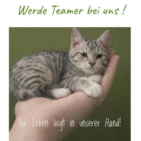 Mit 1 € im Monat helfen