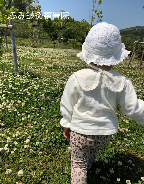 美容鍼 妊活鍼灸 鍼灸治療 小児はり