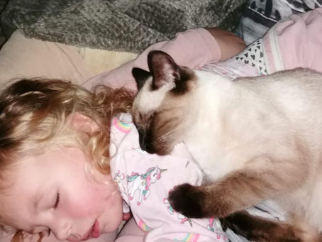 Een ontroerend verhaal van rouw bij kinderen: het verlies van Mauie...