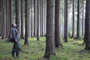 Forstvideos für Bildung, Mitarbeitergewinnung und Imagefilme