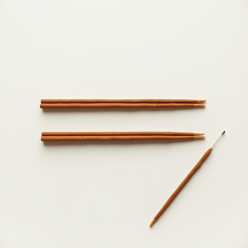 Sandalwood Incense Coil Set