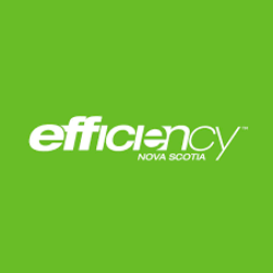 Efficiency NS