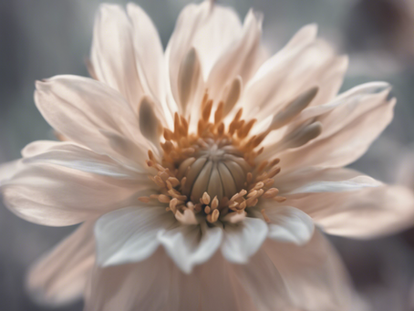 Unleash Your True Potential with Therapy